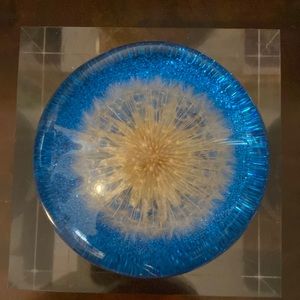 Vintage lucite acrylic dandelion seed resin paperweight